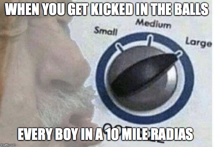 Oof size large | WHEN YOU GET KICKED IN THE BALLS; EVERY BOY IN A 10 MILE RADIAS | image tagged in oof size large | made w/ Imgflip meme maker