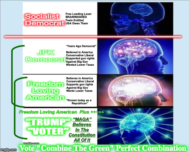 Trump | _________________________; Vote "Combine The Green" Perfect Combination | image tagged in donald trump,freedom,constitution,free speech,trump,gun rights | made w/ Imgflip meme maker