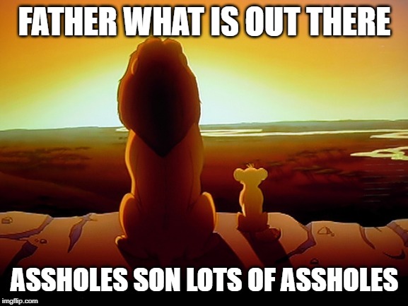Lion King Meme | FATHER WHAT IS OUT THERE; ASSHOLES SON LOTS OF ASSHOLES | image tagged in memes,lion king | made w/ Imgflip meme maker