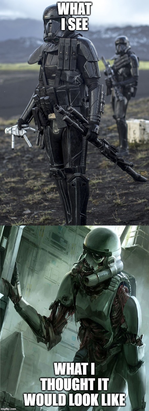 When people think of Death Troopers, what I think of | WHAT I SEE; WHAT I THOUGHT IT WOULD LOOK LIKE | image tagged in when people think of death troopers what i think of | made w/ Imgflip meme maker