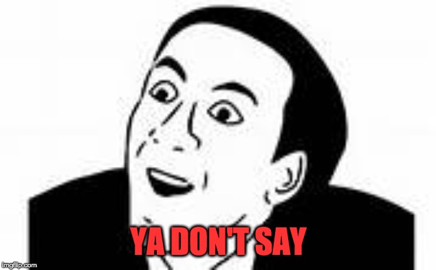 ya dont say | YA DON'T SAY | image tagged in ya dont say | made w/ Imgflip meme maker