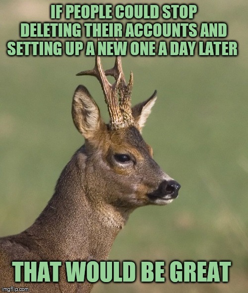 Looking at you kids | IF PEOPLE COULD STOP DELETING THEIR ACCOUNTS AND SETTING UP A NEW ONE A DAY LATER; THAT WOULD BE GREAT | image tagged in sad deer,gone but not gone,cop on for fuck sake | made w/ Imgflip meme maker