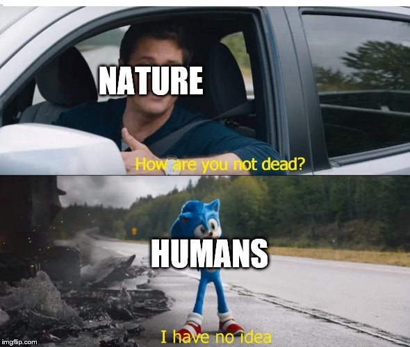 sonic how are you not dead | NATURE; HUMANS | image tagged in sonic how are you not dead | made w/ Imgflip meme maker