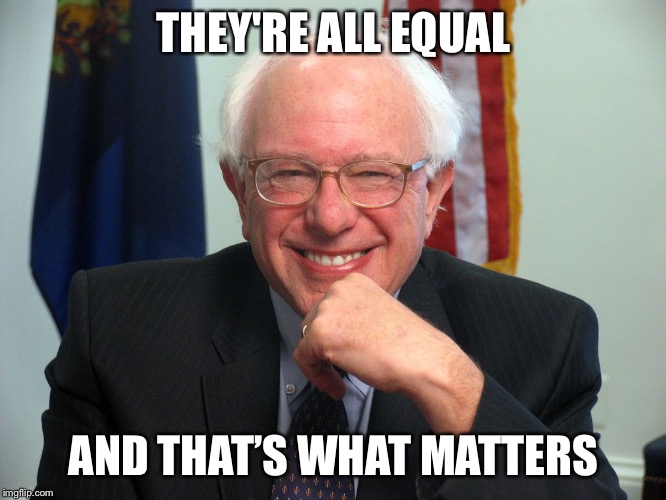 Vote Bernie Sanders | THEY'RE ALL EQUAL AND THAT’S WHAT MATTERS | image tagged in vote bernie sanders | made w/ Imgflip meme maker