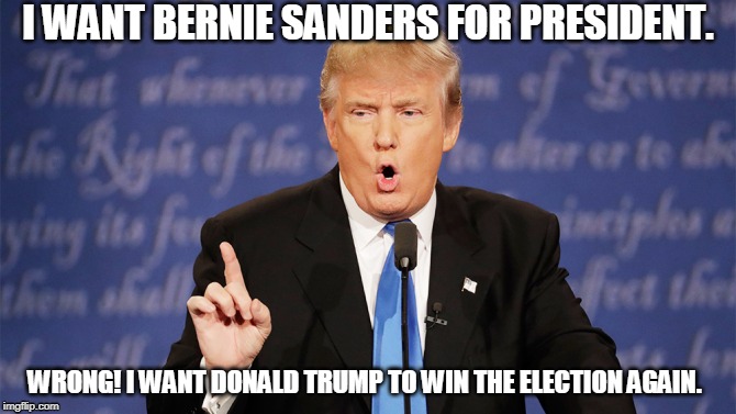 Donald Trump Wrong | I WANT BERNIE SANDERS FOR PRESIDENT. WRONG! I WANT DONALD TRUMP TO WIN THE ELECTION AGAIN. | image tagged in donald trump wrong | made w/ Imgflip meme maker