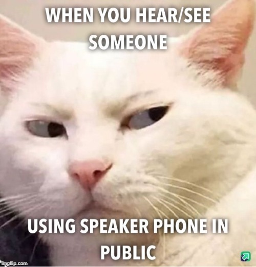 pissy cat | image tagged in cat humor,speaker phone | made w/ Imgflip meme maker