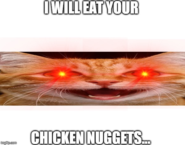 Chimken Numgets | I WILL EAT YOUR; CHICKEN NUGGETS... | image tagged in memes,dank memes,cats,help me | made w/ Imgflip meme maker
