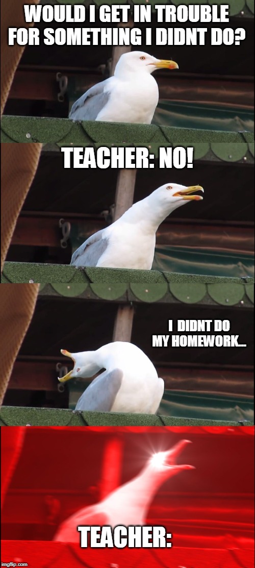 Inhaling Seagull Meme | WOULD I GET IN TROUBLE FOR SOMETHING I DIDNT DO? TEACHER: NO! I  DIDNT DO MY HOMEWORK... TEACHER: | image tagged in memes,inhaling seagull | made w/ Imgflip meme maker