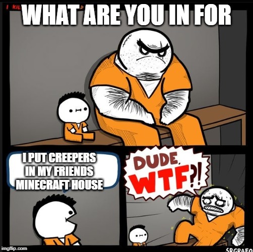 Srgrafo dude wtf | WHAT ARE YOU IN FOR; I PUT CREEPERS IN MY FRIENDS MINECRAFT HOUSE | image tagged in srgrafo dude wtf | made w/ Imgflip meme maker
