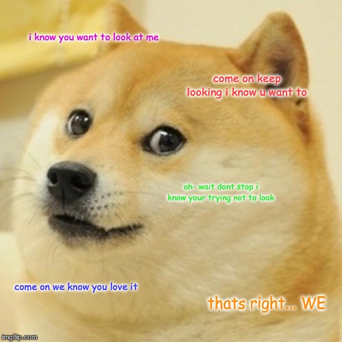 Doge Meme | i know you want to look at me; come on keep looking i know u want to; ah- wait dont stop i know your trying not to look; come on we know you love it; thats right... WE | image tagged in memes,doge | made w/ Imgflip meme maker