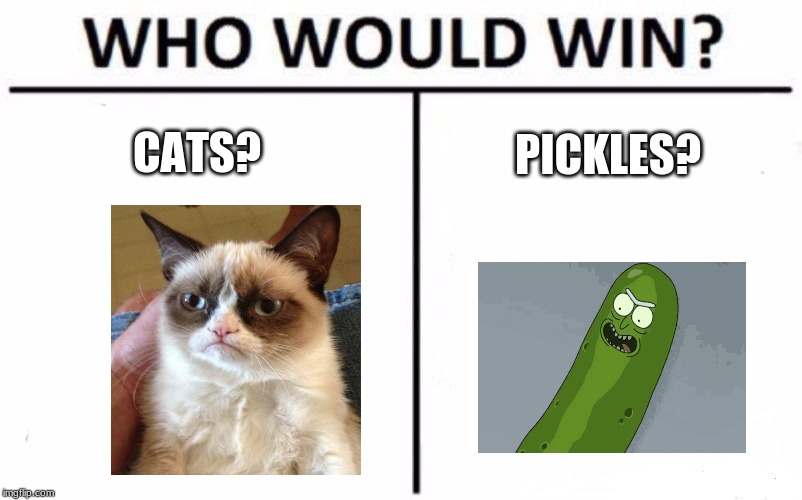 Who Would Win? | CATS? PICKLES? | image tagged in memes,who would win | made w/ Imgflip meme maker