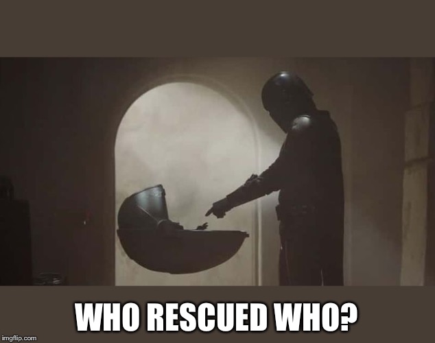 The Mandalorian and Baby Yoda | WHO RESCUED WHO? | image tagged in the mandalorian and baby yoda | made w/ Imgflip meme maker
