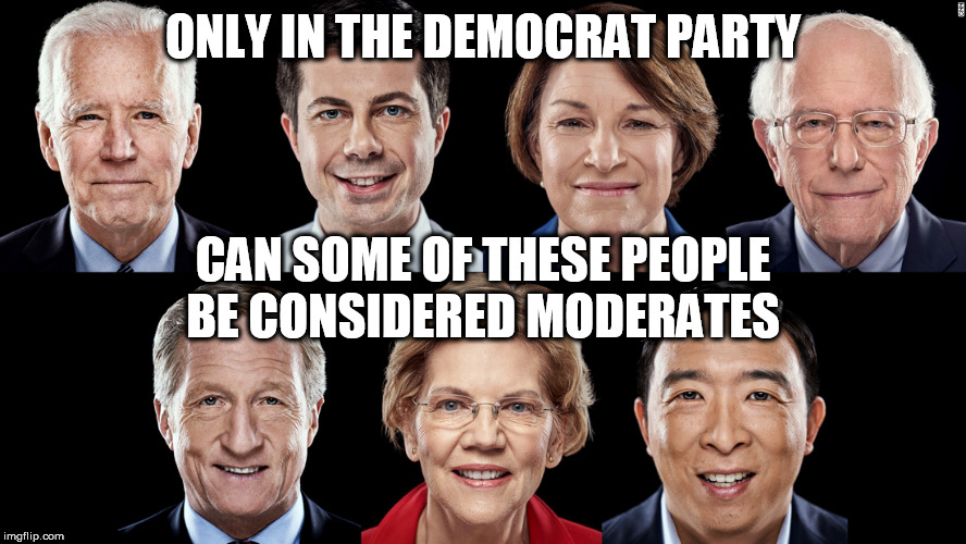 Democratic Candidates — Jan. 2020 | ONLY IN THE DEMOCRAT PARTY; CAN SOME OF THESE PEOPLE BE CONSIDERED MODERATES | image tagged in democratic candidates  jan 2020 | made w/ Imgflip meme maker