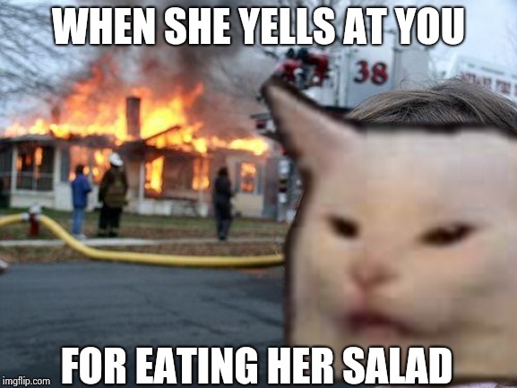 WHEN SHE YELLS AT YOU; FOR EATING HER SALAD | image tagged in woman yelling at cat | made w/ Imgflip meme maker
