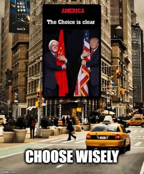 Vote as if your country depends on it! |  CHOOSE WISELY | image tagged in politics,political meme,political,politicians,political humor,american politics,ConservativeMemes | made w/ Imgflip meme maker