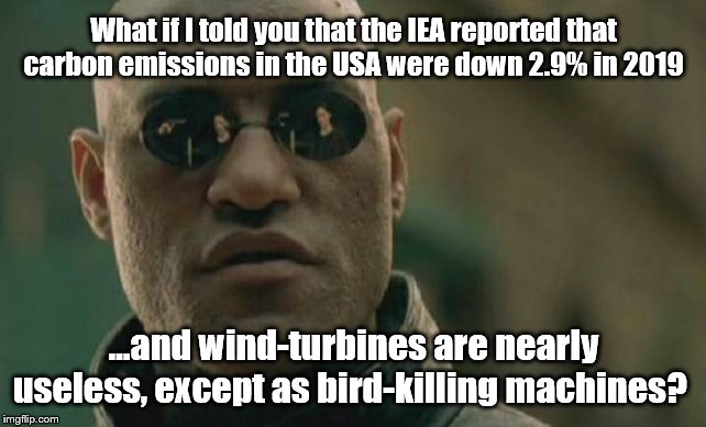Uh-huh. | What if I told you that the IEA reported that carbon emissions in the USA were down 2.9% in 2019; ...and wind-turbines are nearly useless, except as bird-killing machines? | image tagged in matrix morpheus,climate change | made w/ Imgflip meme maker