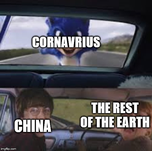Sonic Movie Meme | CORNAVRIUS; CHINA; THE REST OF THE EARTH | image tagged in sonic movie meme | made w/ Imgflip meme maker