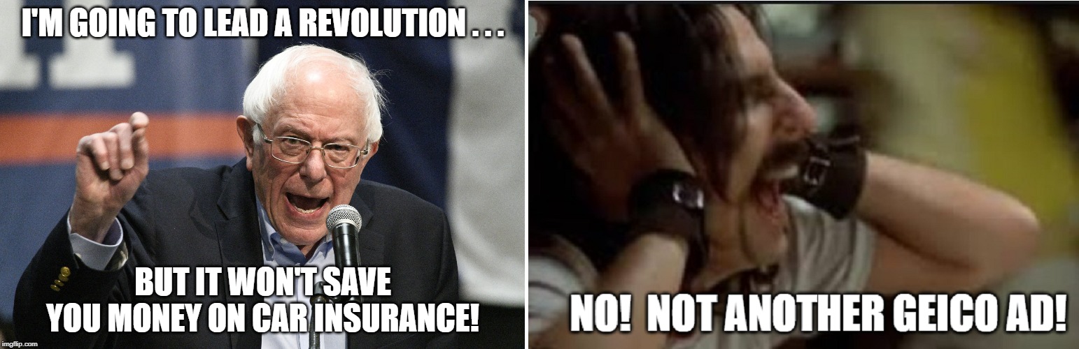 Bernie Sanders and Alice Cooper and Geico | image tagged in bernie sanders,alice cooper,geico,screaming alice cooper | made w/ Imgflip meme maker