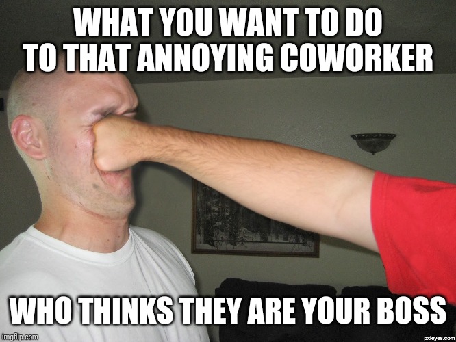 Don't you just get sick of those impossible butt kissing coworkers who think you report to them?!? | WHAT YOU WANT TO DO TO THAT ANNOYING COWORKER; WHO THINKS THEY ARE YOUR BOSS | image tagged in face punch,employees,boss | made w/ Imgflip meme maker