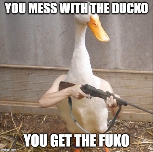 Fuko | YOU MESS WITH THE DUCKO; YOU GET THE FUKO | image tagged in ducks,duck,funny,memes,guns,shooting | made w/ Imgflip meme maker