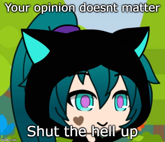 Your opinion doesnt matter; Shut the hell up | image tagged in wtf,help | made w/ Imgflip meme maker