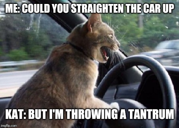 Driving Lesson | ME: COULD YOU STRAIGHTEN THE CAR UP; KAT: BUT I'M THROWING A TANTRUM | image tagged in driving lesson | made w/ Imgflip meme maker