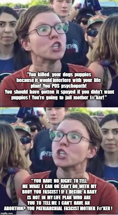 Angry Liberal Hypocrite | "You  killed   your  dogs  puppies because it  would interfere  with  your  life  plan!  You  POS  psychopath! 
 You  should  have  gotten  it  spayed  if  you  didn't  want puppies !  You're  going  to  jail  mother  f#*ker! "; " YOU  HAVE  NO  RIGHT  TO TELL  ME  WHAT  I  CAN  OR  CAN'T DO  WITH  MY  BODY  YOU  FASCIST ! IF  I  DECIDE  A BABY  IS  NOT  IN  MY LIFE  PLAN  WHO  ARE  YOU  TO  TELL ME  I  CAN'T  HAVE  AN  ABORTION?  YOU  PATRIARCHIAL  FASCIST MOTHER  F#*KER ! | image tagged in angry liberal hypocrite | made w/ Imgflip meme maker