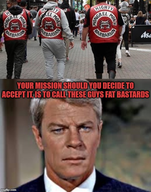 Mission Impossible | YOUR MISSION SHOULD YOU DECIDE TO ACCEPT IT, IS TO CALL THESE GUYS FAT BASTARDS | image tagged in mi,impossible | made w/ Imgflip meme maker