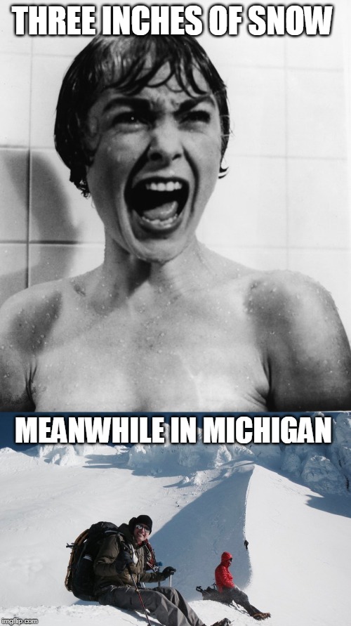 In my defense it's a heavy wet snow | THREE INCHES OF SNOW; MEANWHILE IN MICHIGAN | image tagged in just a joke,life in new england | made w/ Imgflip meme maker