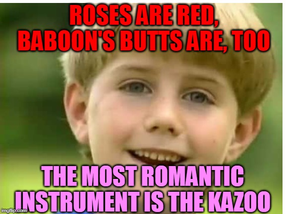 ROSES ARE RED,
BABOON'S BUTTS ARE, TOO; THE MOST ROMANTIC INSTRUMENT IS THE KAZOO | made w/ Imgflip meme maker