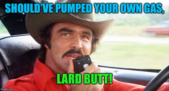 bandit | SHOULD’VE PUMPED YOUR OWN GAS, LARD BUTT! | image tagged in bandit | made w/ Imgflip meme maker