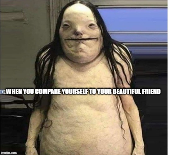 YOU | WHEN YOU COMPARE YOURSELF TO YOUR BEAUTIFUL FRIEND | image tagged in funny memes | made w/ Imgflip meme maker