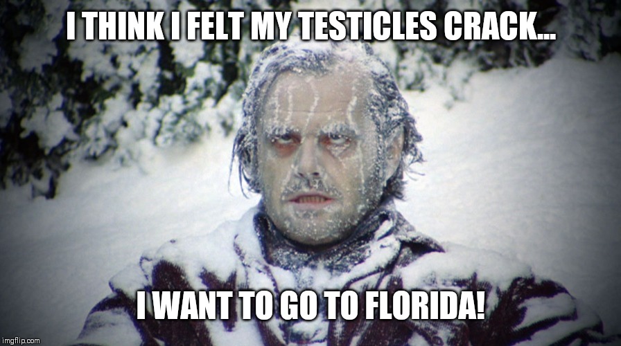 Frozen The Shining | I THINK I FELT MY TESTICLES CRACK... I WANT TO GO TO FLORIDA! | image tagged in frozen the shining | made w/ Imgflip meme maker