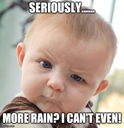 Skeptical Baby Meme | SERIOUSLY...... MORE RAIN? I CAN'T EVEN! | image tagged in memes,skeptical baby | made w/ Imgflip meme maker