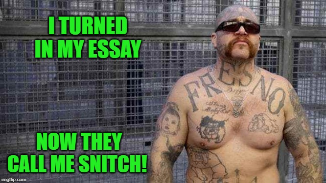 turn in your Essay | I TURNED IN MY ESSAY; NOW THEY CALL ME SNITCH! | image tagged in essay,snitch,kewlew | made w/ Imgflip meme maker