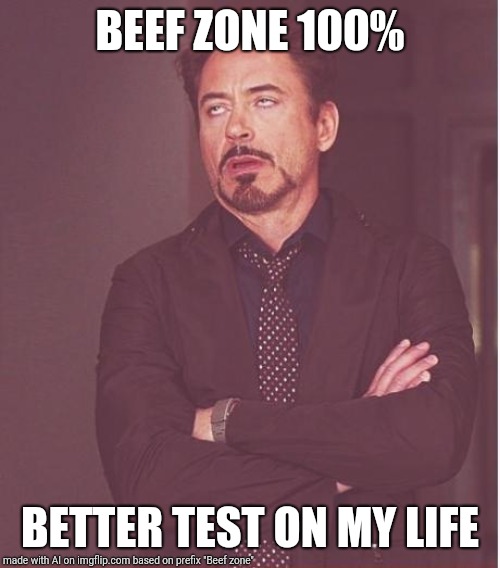 Face You Make Robert Downey Jr Meme | BEEF ZONE 100%; BETTER TEST ON MY LIFE | image tagged in memes,face you make robert downey jr | made w/ Imgflip meme maker