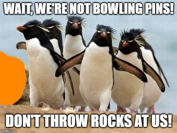 Penguin Gang | WAIT, WE'RE NOT BOWLING PINS! DON'T THROW ROCKS AT US! | image tagged in memes,penguin gang | made w/ Imgflip meme maker
