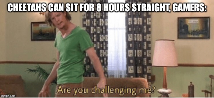 are you challenging me | CHEETAHS CAN SIT FOR 8 HOURS STRAIGHT, GAMERS: | image tagged in are you challenging me | made w/ Imgflip meme maker