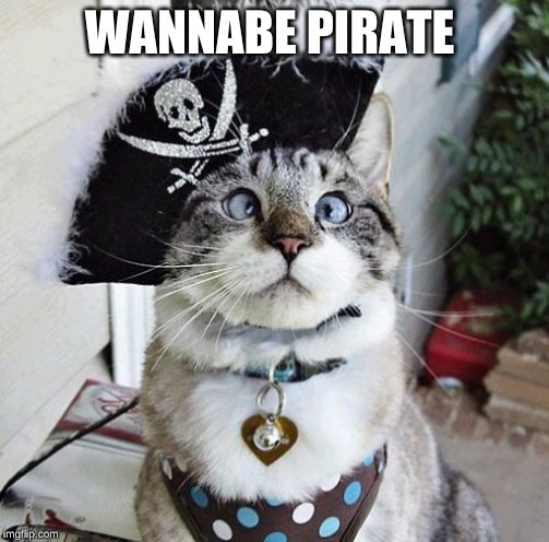 Spangles | WANNABE PIRATE | image tagged in memes,spangles | made w/ Imgflip meme maker