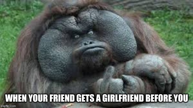 when you are the odd man out | WHEN YOUR FRIEND GETS A GIRLFRIEND BEFORE YOU | image tagged in funny | made w/ Imgflip meme maker