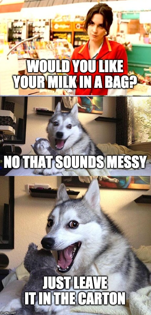 Bad Pun Dog | WOULD YOU LIKE YOUR MILK IN A BAG? NO THAT SOUNDS MESSY; JUST LEAVE IT IN THE CARTON | image tagged in memes,bad pun dog,bad joke,dad joke | made w/ Imgflip meme maker