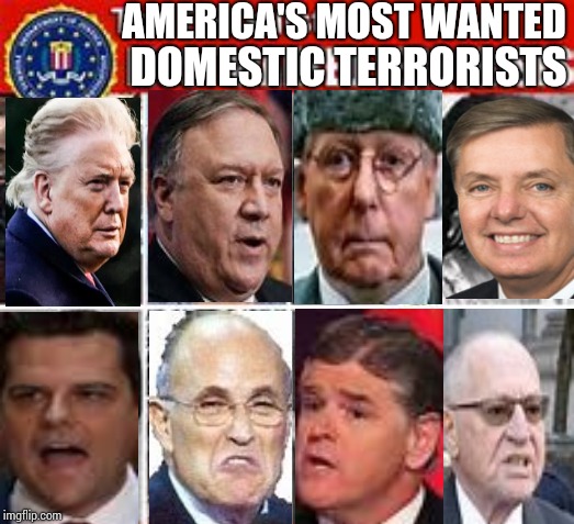 The S W A M P | AMERICA'S MOST WANTED; DOMESTIC TERRORISTS | image tagged in memes,trump unfit unqualified dangerous,liar in chief,domestic violence,terrorists,career criminals | made w/ Imgflip meme maker