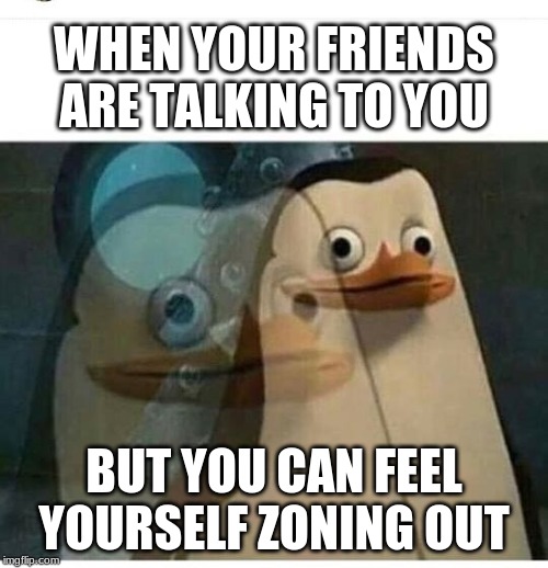 Madagascar Meme | WHEN YOUR FRIENDS ARE TALKING TO YOU; BUT YOU CAN FEEL YOURSELF ZONING OUT | image tagged in madagascar meme | made w/ Imgflip meme maker