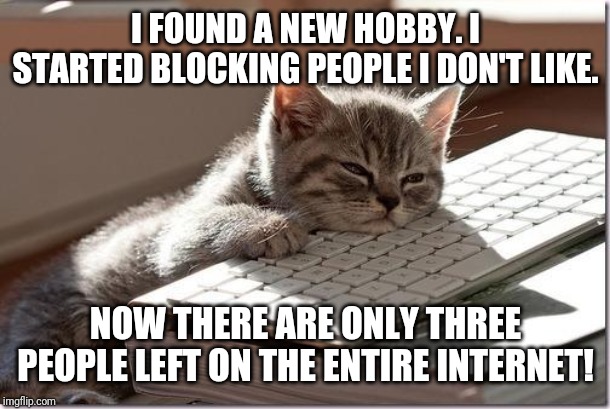 Bored Keyboard Cat | I FOUND A NEW HOBBY. I STARTED BLOCKING PEOPLE I DON'T LIKE. NOW THERE ARE ONLY THREE PEOPLE LEFT ON THE ENTIRE INTERNET! | image tagged in bored keyboard cat | made w/ Imgflip meme maker