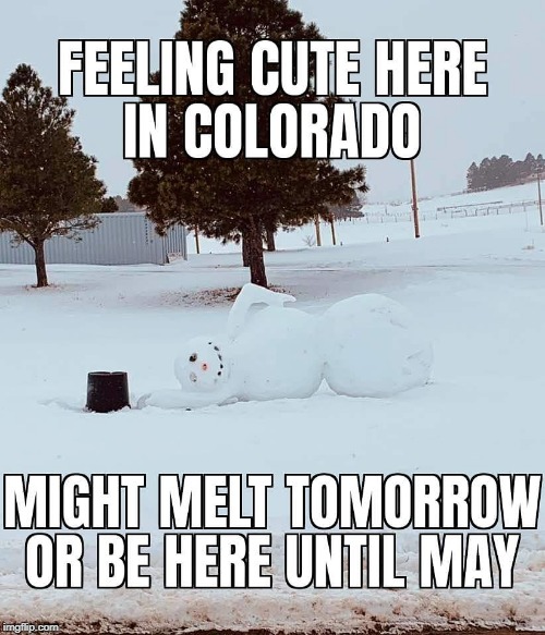 Cute Colorado Snowman | image tagged in feeling cute,colorado,snowman | made w/ Imgflip meme maker