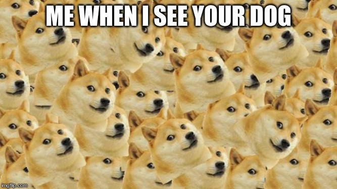 ME WHEN I SEE YOUR DOG | image tagged in memes,multi doge | made w/ Imgflip meme maker