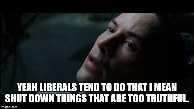 i know kung fu | YEAH LIBERALS TEND TO DO THAT I MEAN SHUT DOWN THINGS THAT ARE TOO TRUTHFUL. | image tagged in i know kung fu | made w/ Imgflip meme maker