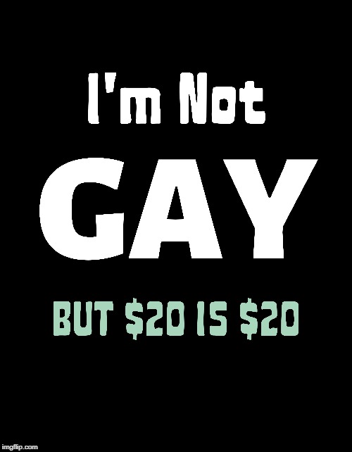I'm not Gay but $20 is $20 | image tagged in fun,funny,funny memes,memes,jokes,hilarious | made w/ Imgflip meme maker