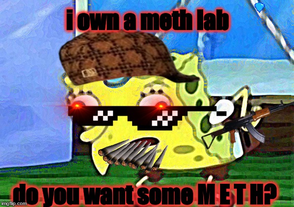 when you meet a drug dealer | i own a meth lab; do you want some M E T H? | image tagged in memes,mocking spongebob,drugs | made w/ Imgflip meme maker