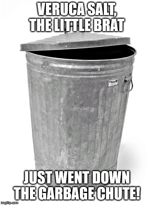 Trash Can | VERUCA SALT, THE LITTLE BRAT JUST WENT DOWN THE GARBAGE CHUTE! | image tagged in trash can | made w/ Imgflip meme maker